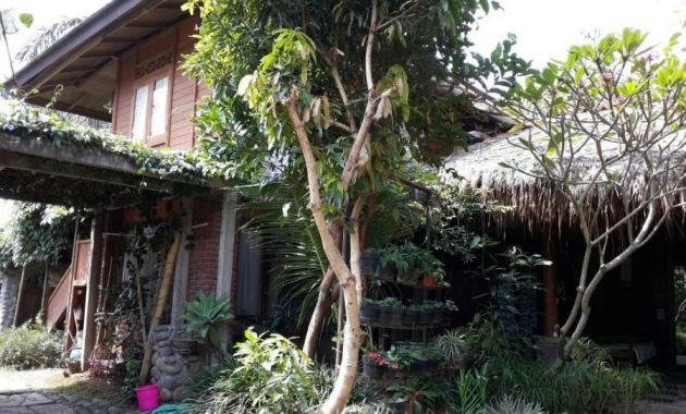 top 20+ penginapan murah di bandung dekat tempat wisata harga dibawah 100 dan 200 ribu