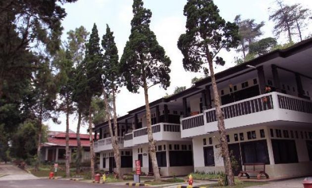 Top 20+ Penginapan Murah di Puncak Cocok Untuk Keluarga dan Ada Yang Dibawah 200 Ribu
