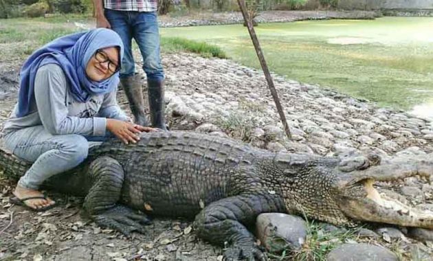 air terjun di ciater, ciater, ciater spa resort, curug ciangin, curug di ciater, objek wisata di ciater, pantai di ciater, pemandian air panas di ciater, pemandian di ciater, rumah sejarah, tempat liburan di ciater, tempat rekreasi di ciater, tempat wisata di ciater, tujuan wisata di ciater, wisata alam di ciater, wisata ciater, wisata di ciater, wisata seru di ciater, top 20+ tempat wisata di ciater subang terbaik & hits yang wajib dikunjungi