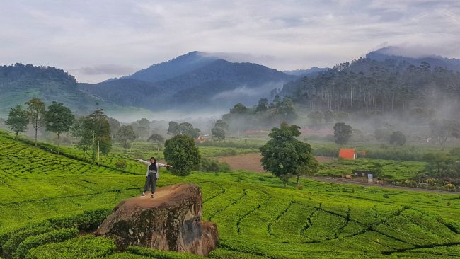 destinasi wisata di ciwidey, kolam renang di ciwidey, objek wisata di ciwidey, pemandian air panas di ciwidey, tempat liburan di ciwidey, tempat rekreasi di ciwidey, tempat wisata alam di ciwidey, tempat wisata di ciwidey, waterboom di ciwidey, waterpark di ciwidey, wisata di ciwidey, top 21+ tempat wisata di ciwidey terpopuler & terhits yang wajib dikunjungi