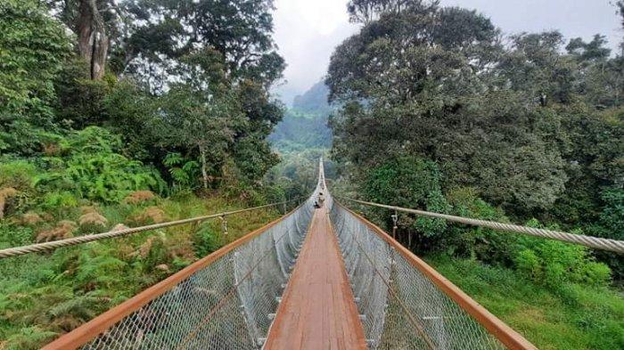 destinasi wisata di ciwidey, kolam renang di ciwidey, objek wisata di ciwidey, pemandian air panas di ciwidey, tempat liburan di ciwidey, tempat rekreasi di ciwidey, tempat wisata alam di ciwidey, tempat wisata di ciwidey, waterboom di ciwidey, waterpark di ciwidey, wisata di ciwidey, top 21+ tempat wisata di ciwidey terpopuler & terhits yang wajib dikunjungi