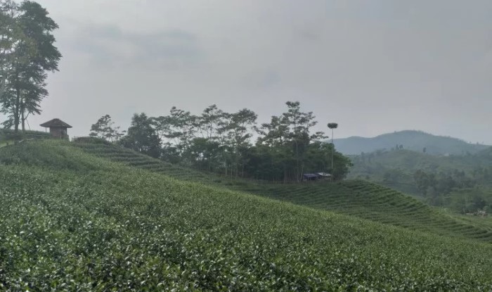 objek wisata di rangkasbitung, rekreasi di rangkasbitung, tempat liburan di rangkasbitung liburan di rangkasbitung, tempat rekreasi di rangkasbitung, tempat wisata di rangkasbitung, wisata di rangkasbitung, wisata rangkasbitung, top 21+ tempat wisata di rangkasbitung terbaru & paling hits, wajib dikunjungi!