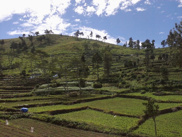 bantaeng, destinasi wisata di bantaeng, objek wisata di bantaeng, tempat wisata di bantaeng, wisata bantaeng, wisata di bantaeng, top 22+ tempat wisata di bantaeng terbaik & terhits yang wajib dikunjungi