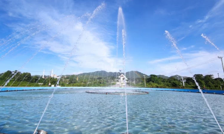 air terjun di mamuju, destinasi di mamuju, objek wisata di mamuju, pantai di mamuju, tempat wisata di mamuju, wisata alam di mamuju, wisata di mamuju, top 24+ tempat wisata di mamuju terbaik & hits yang wajib dikunjungi!