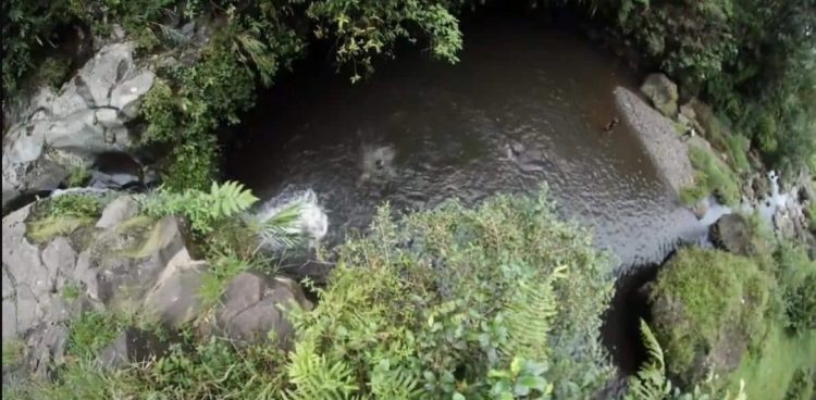 air terjun di banyumas, air terjun di purwokerto, curug di banyumas, curug di purwokerto, wisata alam di banyumas, wisata alam di purwokerto, wisata curug di purwokerto, top 25+ curug di purwokerto banyumas terbaik & terhits, air terjun paling indah!