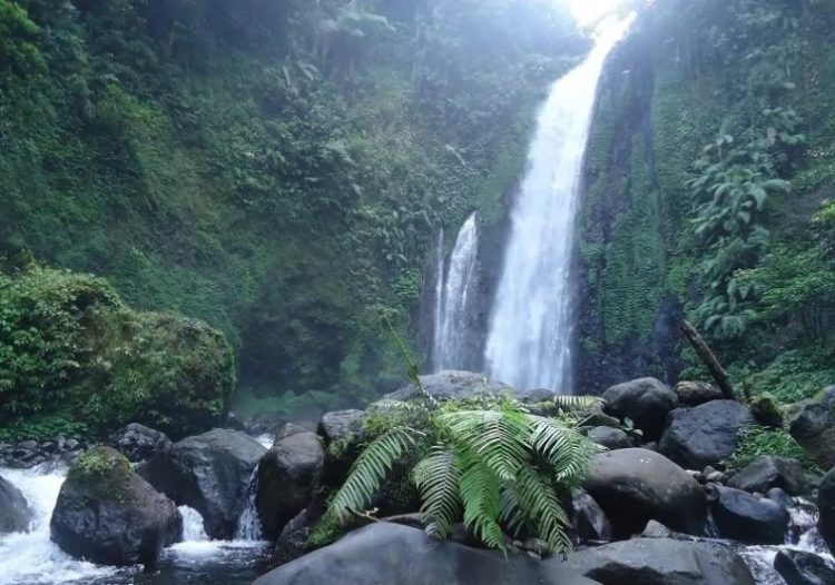 air terjun di banyumas, air terjun di purwokerto, curug di banyumas, curug di purwokerto, wisata alam di banyumas, wisata alam di purwokerto, wisata curug di purwokerto, top 25+ curug di purwokerto banyumas terbaik & terhits, air terjun paling indah!