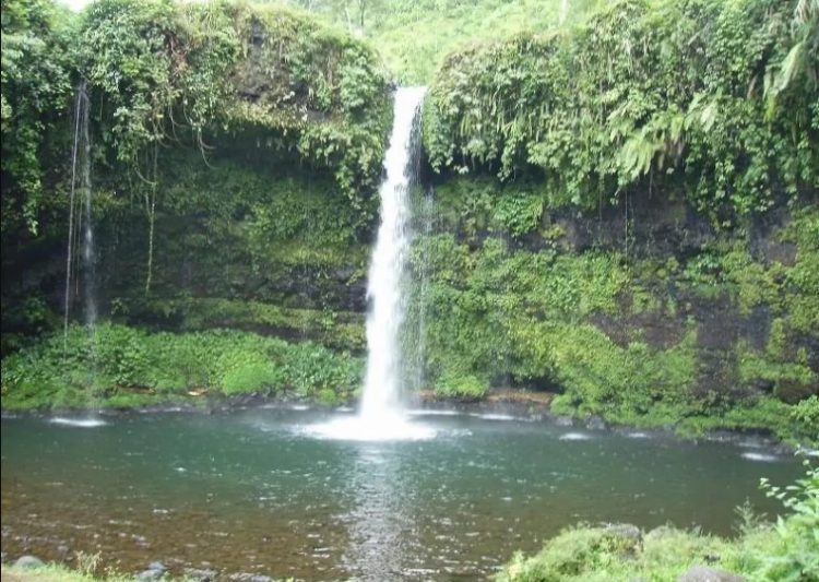air terjun di banyumas, air terjun di purwokerto, curug di banyumas, curug di purwokerto, wisata alam di banyumas, wisata alam di purwokerto, wisata curug di purwokerto, top 25+ curug di purwokerto banyumas terbaik & terhits, air terjun paling indah!