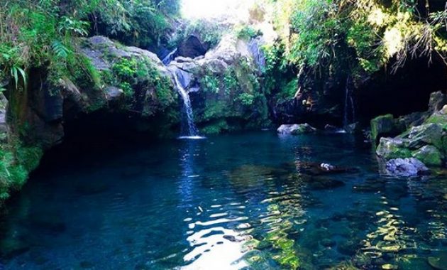 air terjun di banyumas, air terjun di purwokerto, curug di banyumas, curug di purwokerto, wisata alam di banyumas, wisata alam di purwokerto, wisata curug di purwokerto, top 25+ curug di purwokerto banyumas terbaik & terhits, air terjun paling indah!