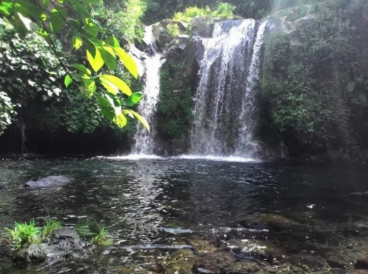 air terjun di banyumas, air terjun di purwokerto, curug di banyumas, curug di purwokerto, wisata alam di banyumas, wisata alam di purwokerto, wisata curug di purwokerto, top 25+ curug di purwokerto banyumas terbaik & terhits, air terjun paling indah!