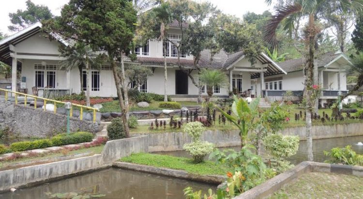 hotel bintang 1 di puncak, hotel bintang 3 di puncak, hotel di puncak, hotel mewah di puncak, hotel murah di puncak, penginapan dekat wisata di puncak, penginapan di puncak, penginapan murah di puncak, top 26+ hotel & penginapan murah di puncak, rp 60ribuan ada kolam renang