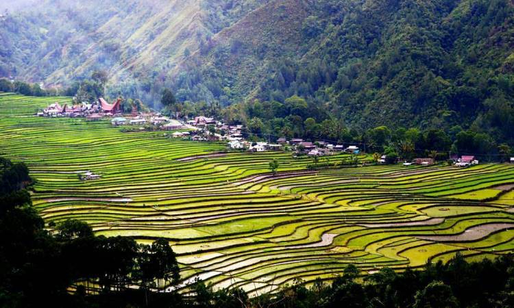 destinasi wisata di tana toraja, destinasi wisata di toraja, objek wisata di tana toraja, tempat wisata di tana toraja, tempat wisata di toraja, wisata di tana toraja, wisata di toraja, top 26+ tempat wisata di tana toraja terbaik & terhits yang wajib dikunjungi