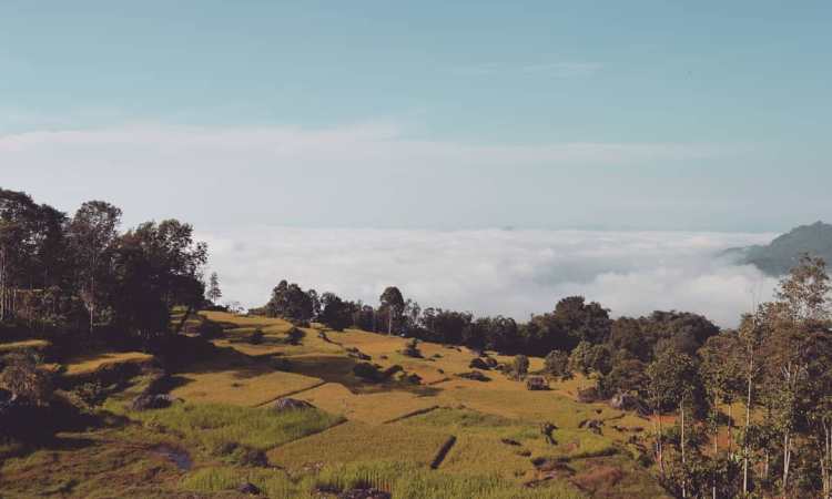 destinasi wisata di tana toraja, destinasi wisata di toraja, objek wisata di tana toraja, tempat wisata di tana toraja, tempat wisata di toraja, wisata di tana toraja, wisata di toraja, top 26+ tempat wisata di tana toraja terbaik & terhits yang wajib dikunjungi