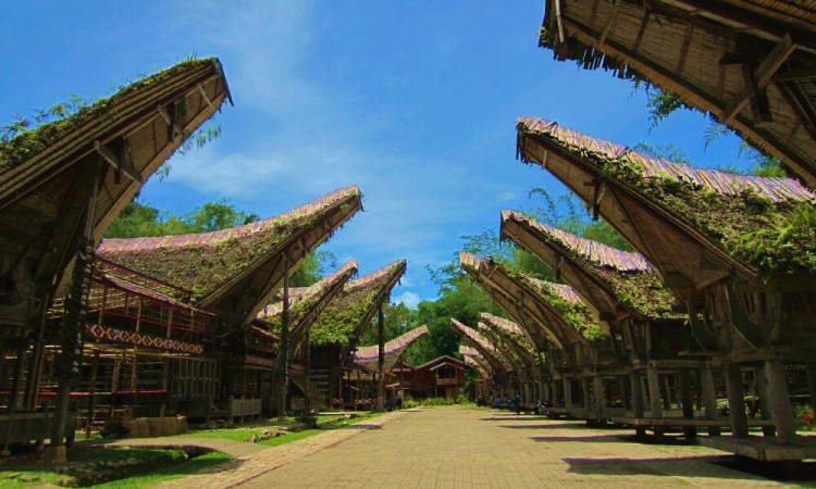 destinasi wisata di tana toraja, destinasi wisata di toraja, objek wisata di tana toraja, tempat wisata di tana toraja, tempat wisata di toraja, wisata di tana toraja, wisata di toraja, top 26+ tempat wisata di tana toraja terbaik & terhits yang wajib dikunjungi