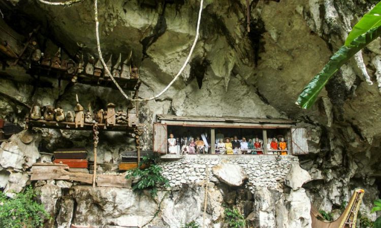 Top 26+ Tempat Wisata di Tana Toraja Terbaik & TerHits yang Wajib Dikunjungi