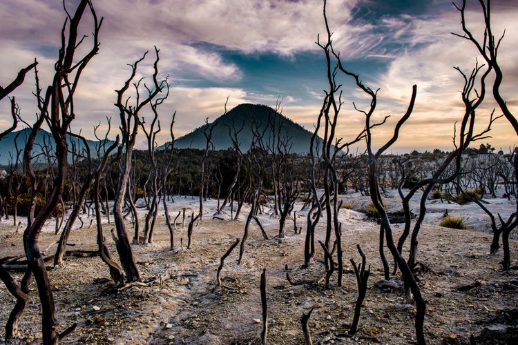 gunung di jawa barat, gunung terbaik di jawa barat, gunung terindah di jawa barat, gunung tertinggi di jawa barat, gunung tidak aktif di jawa barat, gunung yang masih aktif di jawa barat, mendaki gunung di jawa barat, top 27+ gunung di jawa barat yang wajib kalian taklukkan, yuk mendaki!