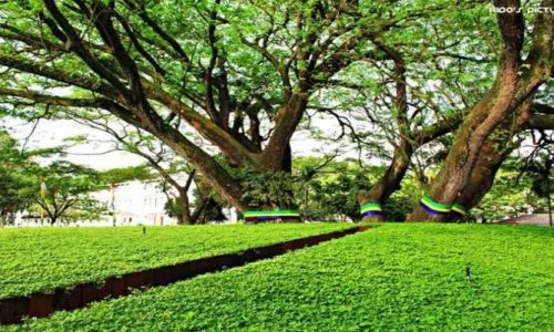 taman di bandung, taman paling hits di bandung, taman paling instagramable di bandung, taman terbaik di bandung, taman terbaru di bandung, taman terindah di bandung, wisata taman di bandung, top 29+ taman di bandung terbaik & paling hits, fasilitas lengkap, ada kuliner dll