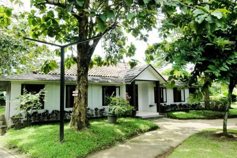 cafe di tangerang, kuliner di tangerang, kuliner hits di tangerang, resto di tangerang, restoran di tangerang, rumah makan di tangerang, tempat makan di tangerang, tempat makan enak di tangerang, tempat makan favorit di tangerang, tempat makan hits di tangerang, wisata kuliner di tangerang, top 29+ tempat makan di tangerang paling enak & legendaris, cafe, restoran!