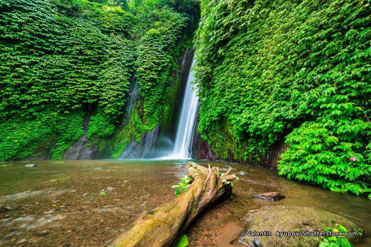 air terjun di bali, air terjun hits di bali, air terjun paling terkenal di bali, air terjun terbaik di bali, air terjun terbaru di bali, curug di bali, top 30+ air terjun di bali terbaik & terhits, wisata alam yang instagramable