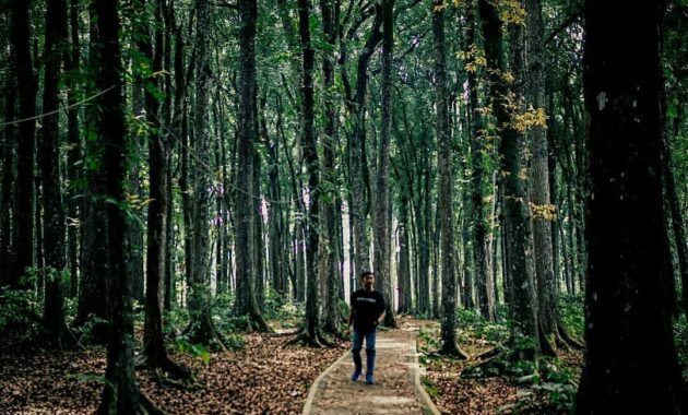 top 30+ tempat wisata di madura yang wajib dikunjungi