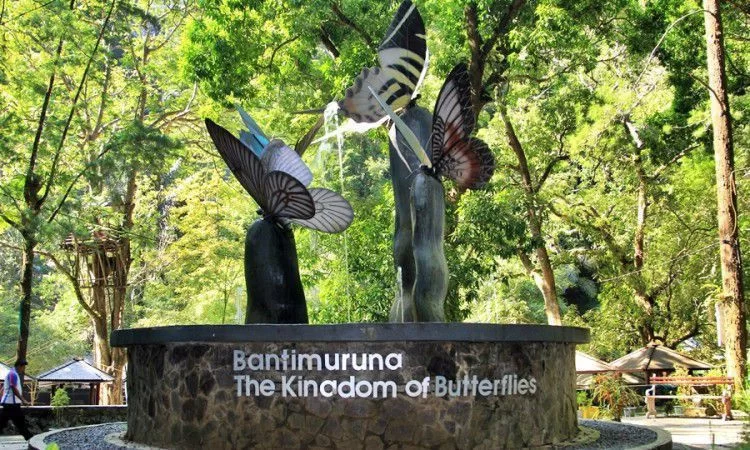 Top 32+ Tempat Wisata di Maros Terbaik & Paling Hits yang Wajib Dikunjungi