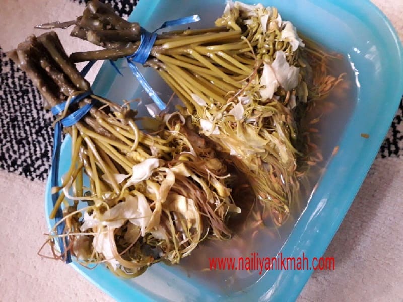 cemilan khas kalimantan selatan, jajanan pasar khas kalsel, jajanan pasar khas makassar, kuliner khas kalimantan selatan, kuliner khas kalsel, kuliner tradisional kalimantan selatan, makanan khas kalimantan selatan, makanan khas kalsel, makanan tradisional kalimantan selatan, top 35+ makanan khas kalimantan selatan legendaris & terkenal yang wajib dicoba