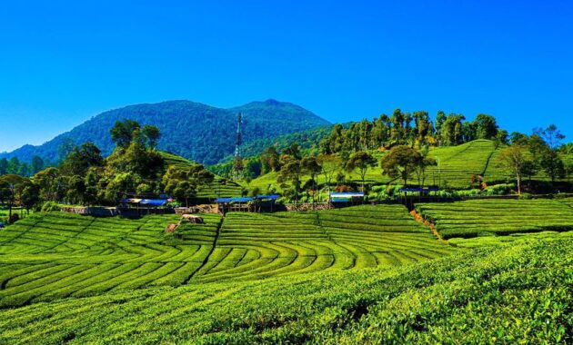 top 35+ tempat wisata di cianjur dan harga tiket masuk murah yang baru, simak rekomendasi berikut