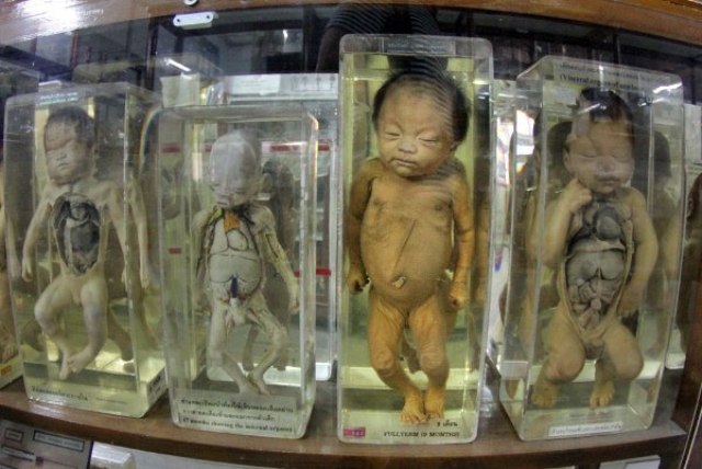 bangkok, bangkok correction museums, bangkok forensic museum, batcat toy museum, chao phraya, chatuchak, chatuchak weekend market, chinatown, correction museums, forensic museum, jim thompson, jim thompson house, jim thompson house and museum, khao san, khao san road, kuil buddha berbaring, kuil buddha zamrud, kuil fajar, liburan seru di bangkok, lokasi wisata di bangkok, lumphini, lumphini park, madame tussauds, museum di bangkok, museum lilin madame tussauds, panduan wisata bangkok, royal grand palace, siam ocean world, tempat wisata, tempat wisata di bangkok, tempat wisata di thailand, vimanmek teak mansion, wat arun, wat arunratchawararam ratchaworamahavihara, wat pho, wat phra chetuphon vimolmangklararm rajwaramahaviharn, wat phra kaew, wisata seru di bangkok, wisata seru di thailand, yaowarat, yaowarat road, top 36+ tempat wisata di bangkok thailand terbaru & hits yang wajib dikunjungi