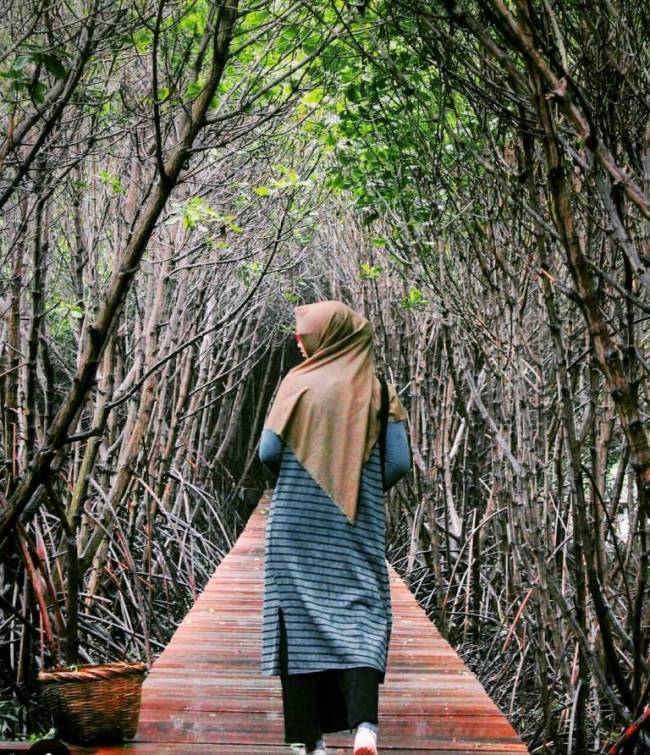 air terjun di brebes, brebes, liburan di brebes, objek wisata brebes, objek wisata di brebes, pantai di brebes, tempat liburan di brebes, tempat rekreasi di brebes, tempat wisata brebes tempat wisata di brebes, wisata alam brebes, wisata brebes, wisata di brebes, top 38+ tempat wisata di brebes terbaik & paling hits yang wajib dikunjungi