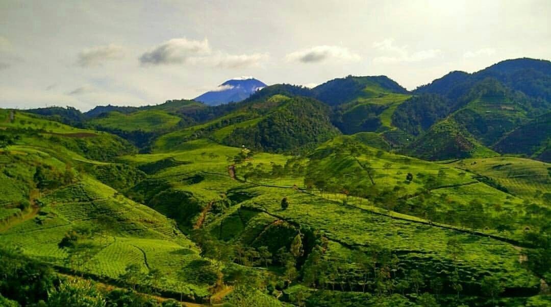 air terjun di brebes, brebes, liburan di brebes, objek wisata brebes, objek wisata di brebes, pantai di brebes, tempat liburan di brebes, tempat rekreasi di brebes, tempat wisata brebes tempat wisata di brebes, wisata alam brebes, wisata brebes, wisata di brebes, top 38+ tempat wisata di brebes terbaik & paling hits yang wajib dikunjungi