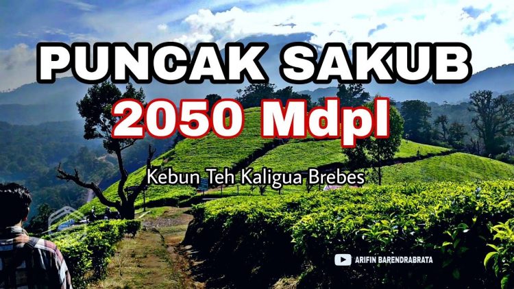 air terjun di brebes, brebes, liburan di brebes, objek wisata brebes, objek wisata di brebes, pantai di brebes, tempat liburan di brebes, tempat rekreasi di brebes, tempat wisata brebes tempat wisata di brebes, wisata alam brebes, wisata brebes, wisata di brebes, top 38+ tempat wisata di brebes terbaik & paling hits yang wajib dikunjungi