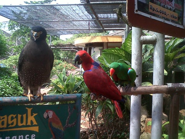 objek wisata di jakarta timur, objek wisata jaktim, taman mini indonesia indah, telaga arwana cibubur, tempat wisata di jakarta timur, tempat wisata di jaktim, tempat wisata jakarta timur, wisata di jakarta timur, wisata jakarta timur, wisata jaktim, top 38+ tempat wisata di jakarta timur terbaru & paling hits, wajib dikunjungi!