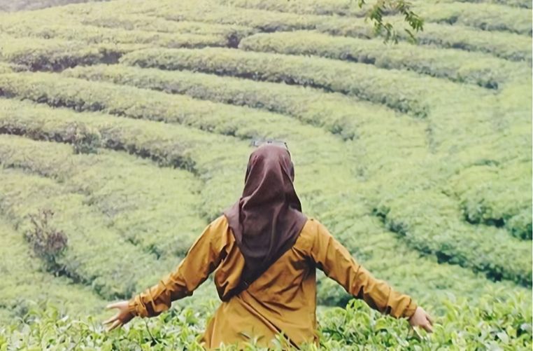 batang, liburan di batang, objek wisata batang, objek wisata di batang, tempat liburan di batang, tempat rekreasi di batang, tempat wisata di batang, wisata batang, wisata di batang, top 39+ tempat wisata di batang terbaru & hits yang wajib dikunjungi