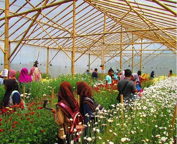 batang, liburan di batang, objek wisata batang, objek wisata di batang, tempat liburan di batang, tempat rekreasi di batang, tempat wisata di batang, wisata batang, wisata di batang, top 39+ tempat wisata di batang terbaru & hits yang wajib dikunjungi