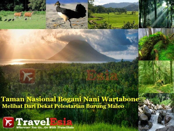 daftar tempat wisata di gorontalo, gorontalo, liburan di gorontalo, objek wisata di gorontalo, tempat keren di gorontalo, tempat liburan di gorontalo, tempat rekreasi di gorontalo, tempat wisata di gorontalo, tempat wisata gorontalo, wisata gorontalo, top 39+ tempat wisata di gorontalo terbaru & hits yang wajib dikunjungi!