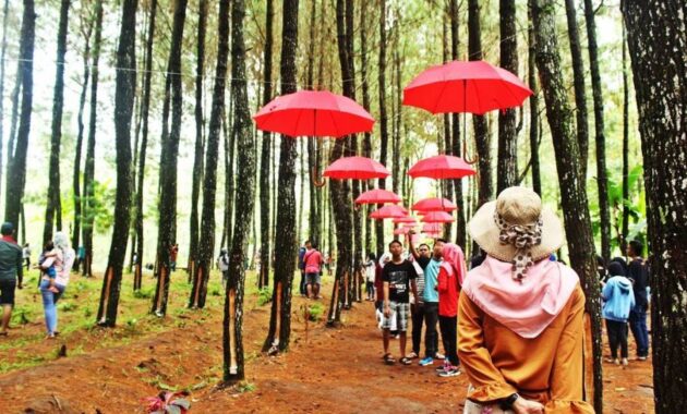 top 40+ objek wisata di banyuwangi, sudah ke sini belum?