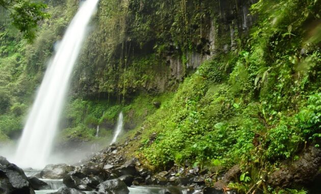 top 40+ objek wisata di banyuwangi, sudah ke sini belum?