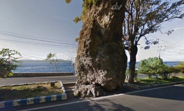 top 40+ objek wisata di banyuwangi, sudah ke sini belum?