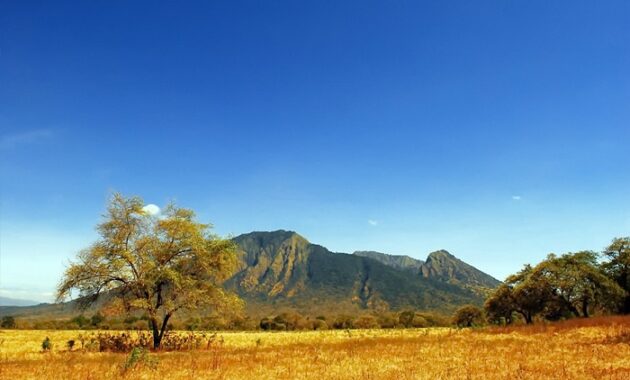 top 40+ objek wisata di banyuwangi, sudah ke sini belum?