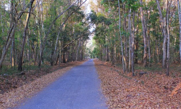 top 40+ objek wisata di banyuwangi, sudah ke sini belum?