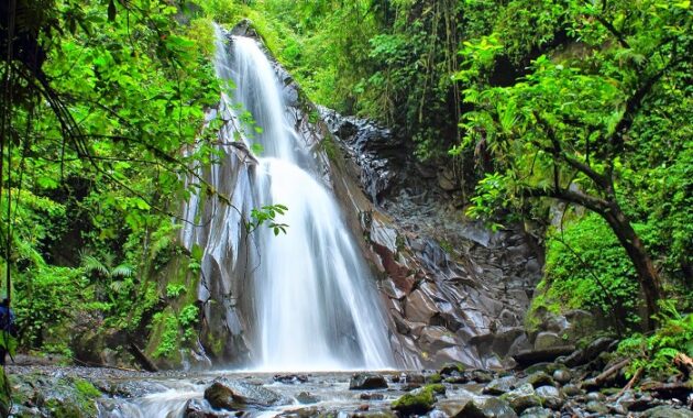 top 40+ objek wisata di banyuwangi, sudah ke sini belum?