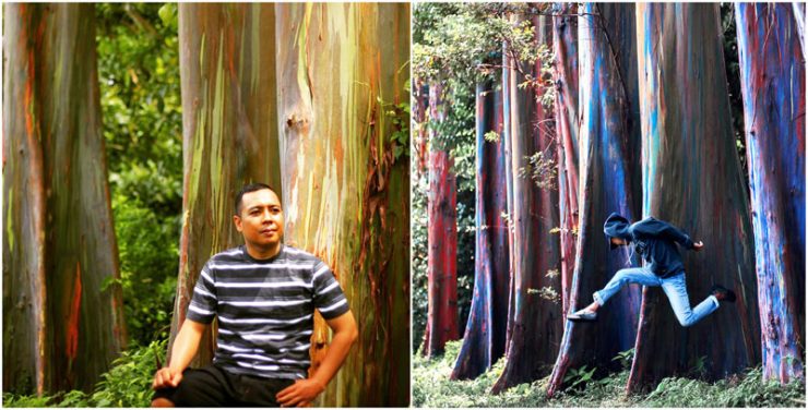 air terjun di bondowoso, bondowoso, liburan bondowoso, liburan ke bondowoso, objek wisata bondowoso, objek wisata di bondowoso, pariwisata bondowoso, pariwisata di bondowoso, tempat liburan di bondowoso, tempat wisata alam di bondowoso, tempat wisata bondowoso, tempat wisata di bondowoso, tempat wisata terbaru di bondowoso, wisata alam bondowoso, wisata bondowoso, wisata di bondowoso, top 42+ tempat wisata di bondowoso terbaru & paling hits yang wajib dikunjungi