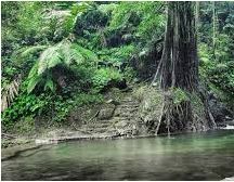 air terjun di bengkayang, pantai di bengkayang, tempat liburan di bengkayang, tempat rekreasi di bengkayang, tempat wisata di bengkayang, wisata alam di bengkayang, wisata bengkayang, top 43+ tempat wisata di bengkayang kalbar terbaik & paling hits wajib dikunjungi!