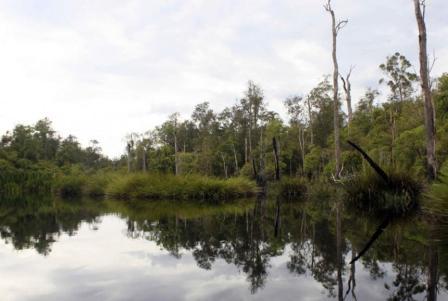 air terjun di kapuas hulu, objek wisata di kapuas hulu, tempat liburan di kapuas hulu, tempat rekreasi di kapuas hulu, tempat wisata di kapuas hulu, wisata alam di kapuas hulu, wisata di kapuas hulu, top 43+ tempat wisata di kapuas hulu terbaik & terhits yang wajib dikunjungi