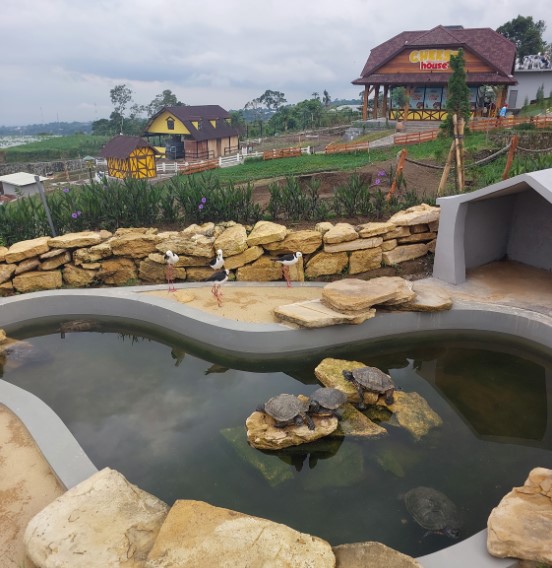 air terjun kedung kayang, objek wisata boyolali, objek wisata di boyolali, selo, tempat wisata boyolali, tempat wisata di boyolali, tlatar boyolali, umbul tlatar, wisata boyolali, wisata boyolali tlatar, top 44+ tempat wisata di boyolali terbaik & terhits yang wajib dikunjungi saat libur