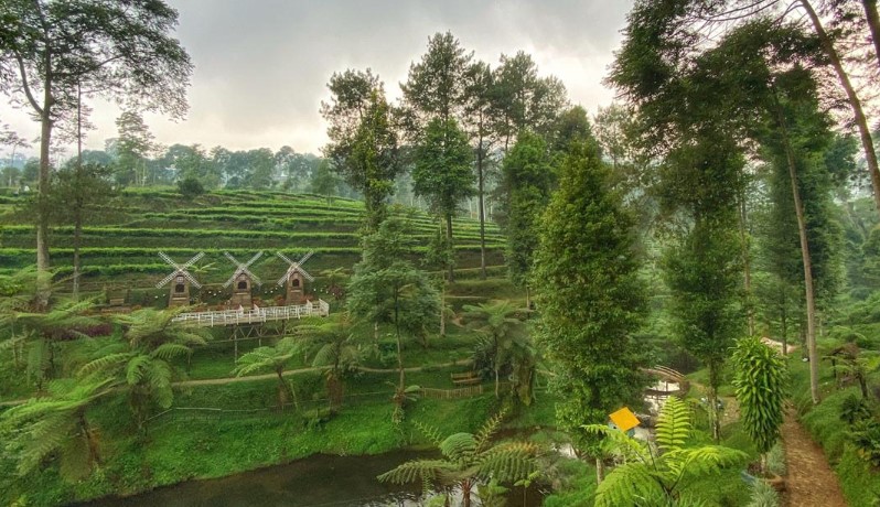 curug tempat wisata di pekalongan, destinasi wisata di pekalongan, destinasi wisata pekalongan, liburan di pekalongan, objek wisata di pekalongan, objek wisata pekalongan, pantai di tempat wisata di pekalongan, tempat liburan di pekalongan, tempat liburan pekalongan, tempat wisata di pekalongan, wahana liburan di pekalongan, wisata di pekalongan, wisata pekalongan, top 47+ tempat wisata di pekalongan terbaru & terhits yang wajib dikunjungi
