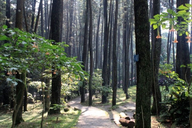 lokasi wisata di depok, objek wisata di depok, obyek wisata di depok, tempat rekreasi di depok, tempat wisata alam di depok, tempat wisata depok, tempat wisata di depok, wahana wisata di depok, wisata depok, wisata di depok, top 48+ tempat wisata di depok terbaik & paling hits yang wajib dikunjungi!