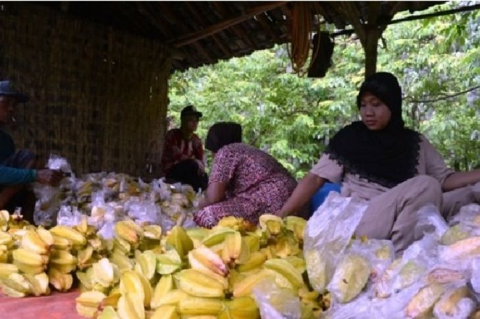 lokasi wisata di depok, objek wisata di depok, obyek wisata di depok, tempat rekreasi di depok, tempat wisata alam di depok, tempat wisata depok, tempat wisata di depok, wahana wisata di depok, wisata depok, wisata di depok, top 48+ tempat wisata di depok terbaik & paling hits yang wajib dikunjungi!