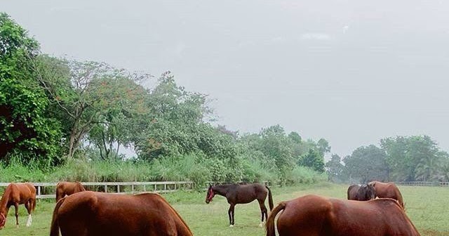 lokasi wisata di depok, objek wisata di depok, obyek wisata di depok, tempat rekreasi di depok, tempat wisata alam di depok, tempat wisata depok, tempat wisata di depok, wahana wisata di depok, wisata depok, wisata di depok, top 48+ tempat wisata di depok terbaik & paling hits yang wajib dikunjungi!
