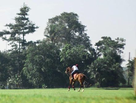 lokasi wisata di depok, objek wisata di depok, obyek wisata di depok, tempat rekreasi di depok, tempat wisata alam di depok, tempat wisata depok, tempat wisata di depok, wahana wisata di depok, wisata depok, wisata di depok, top 48+ tempat wisata di depok terbaik & paling hits yang wajib dikunjungi!