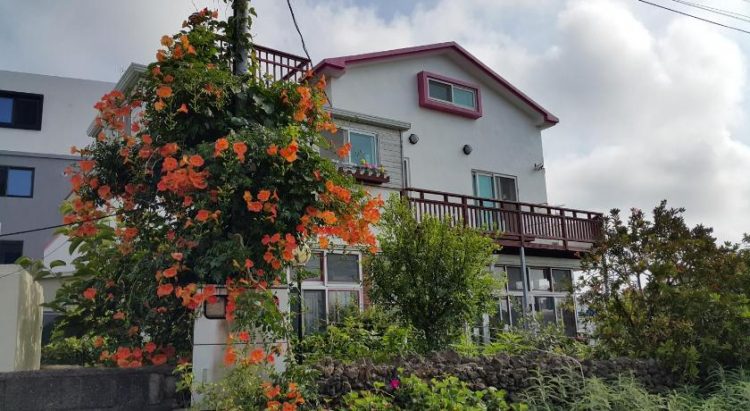 hotel di jeju, hotel di pulau jeju, hotel murah di jeju, hotel murah di pulau jeju, hotel murah di pulau jeju terbaik hotel murah di pulau jeju, top 5+ hotel murah di pulau jeju terbaik & ternyaman, dibawah rp 500.000an!